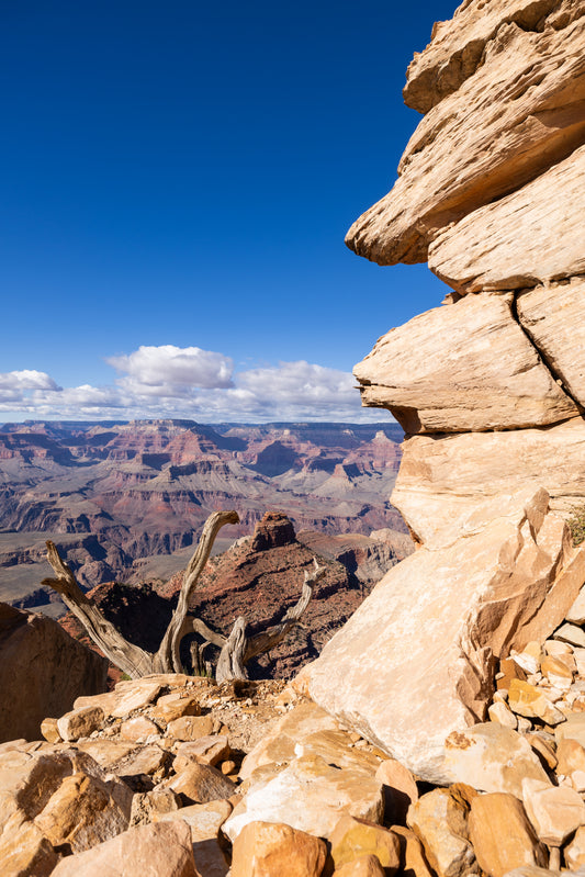 South Kiabab Ooh Ahh lookout at the Grand Canyon, Arizona